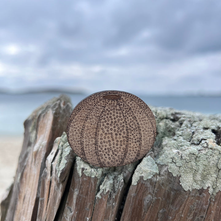 Sea urchin brooch and mug gift set