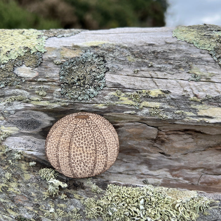 Sea urchin brooch and mug gift set