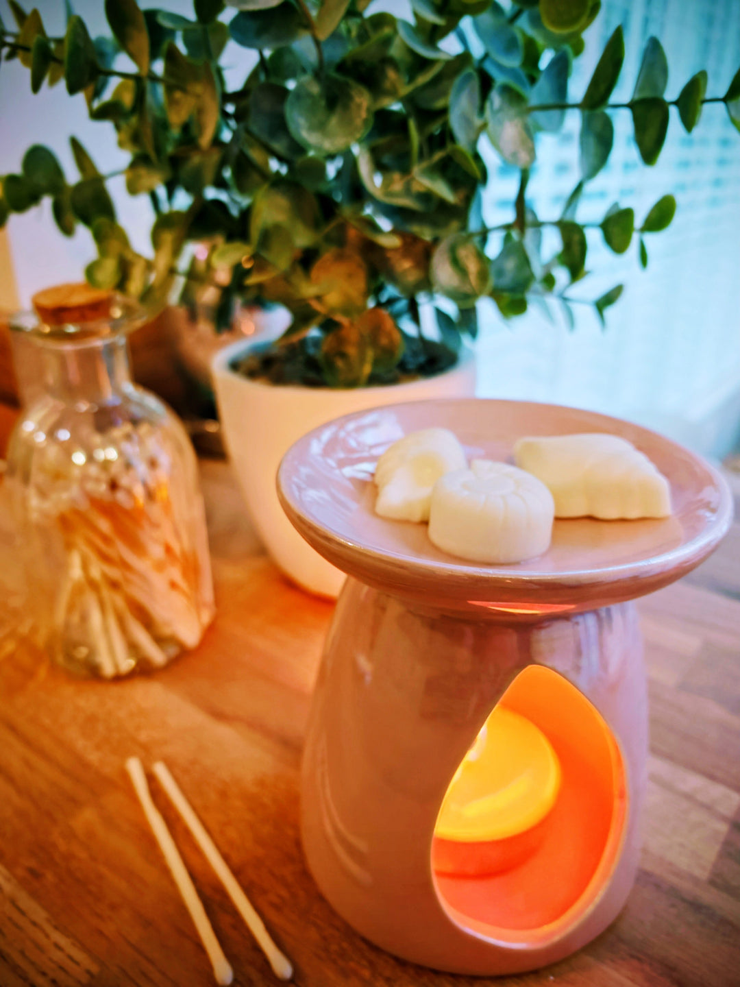 SHELL WAX MELTS